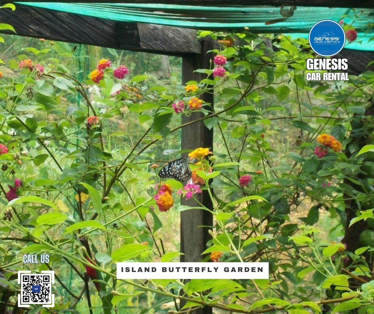 Island Butterfly Garden Siquijor