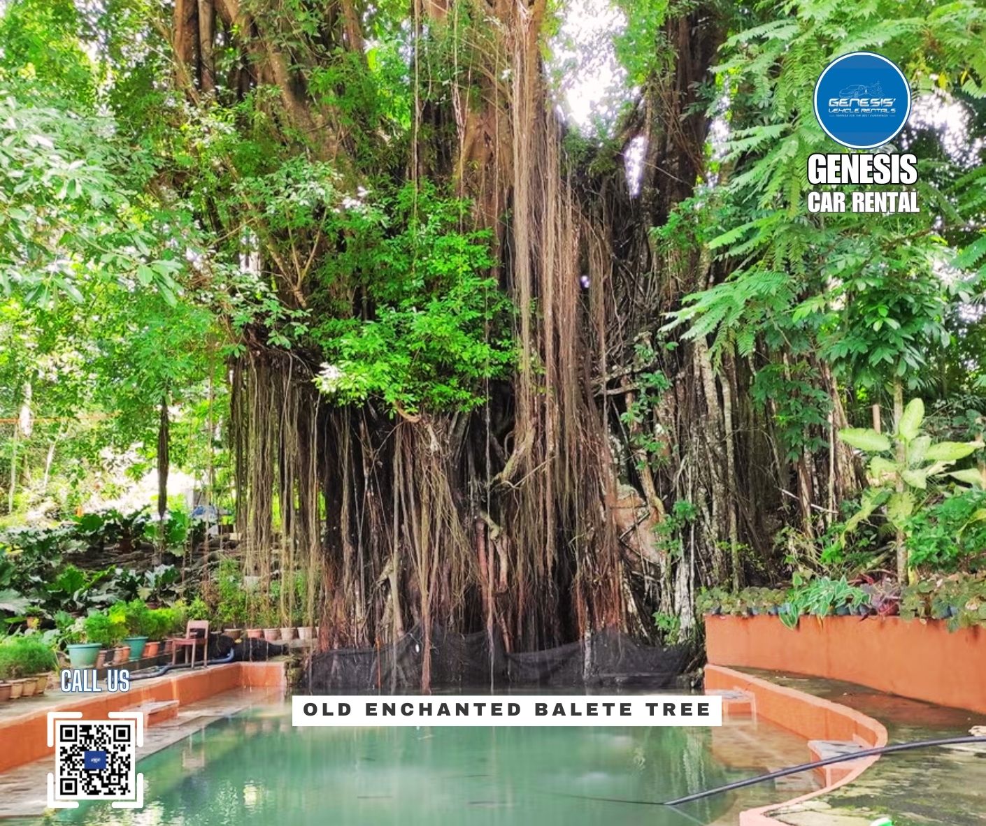 Old Enchanted Balete Tree in Siquijor